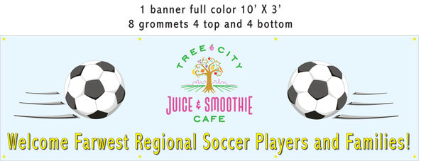 horizontal banner with soccer balls